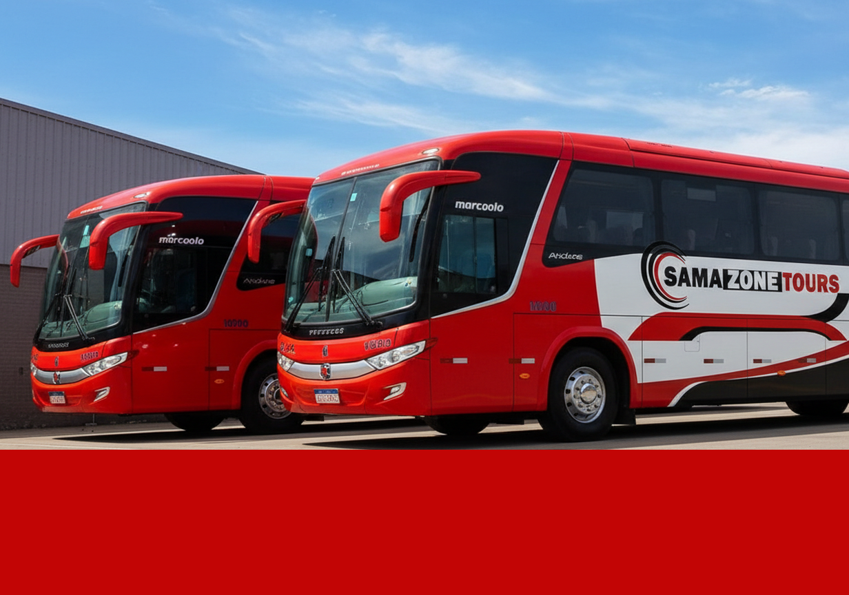 Professional Service